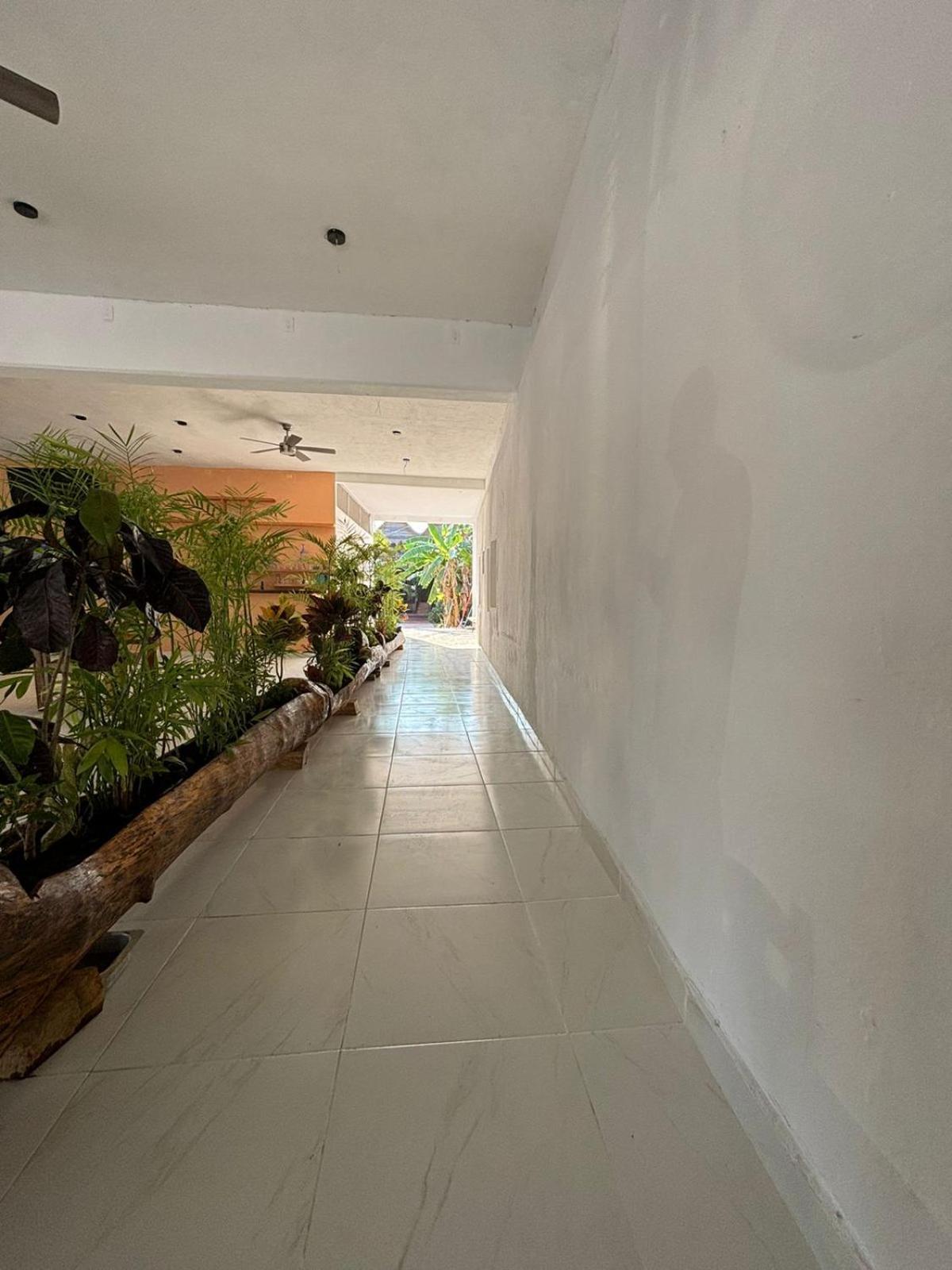 Lura Bacalar Apartment Exterior photo